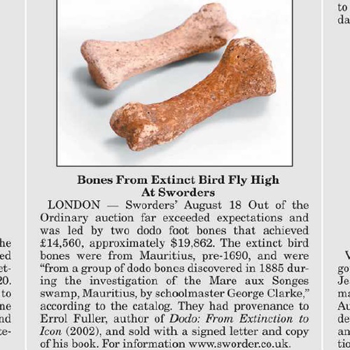 Bones From Extinct Bird Fly High At Sworders